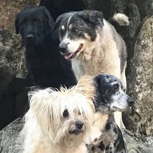 Meet your Posher, Yona